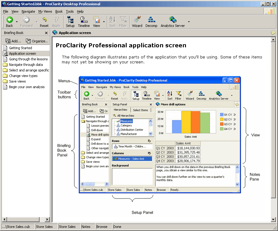Microsoft ProClarity Desktop Professional 6.3 Interface (2006)